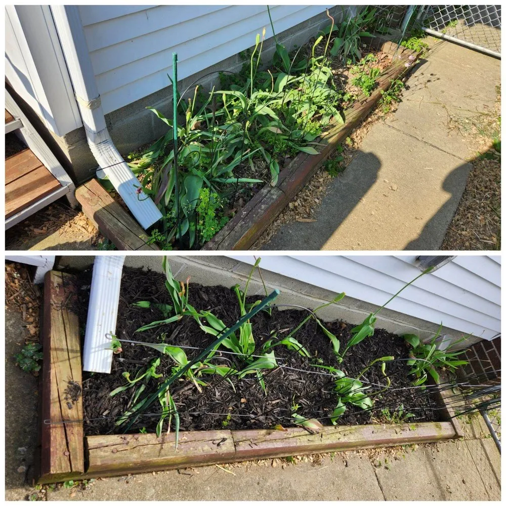 Affordable lawn care service in Columbus, OH - Haystax Handyman Services