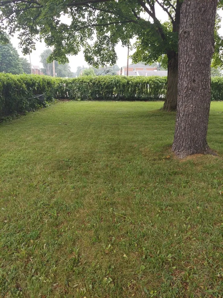 Top-rated lawn mowing service in Columbus, OH by Haystax Handyman Services