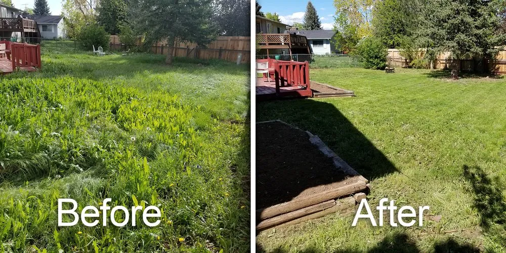 Top-rated landscaping services near you across Fort Collins, CO - Hayven Scapes