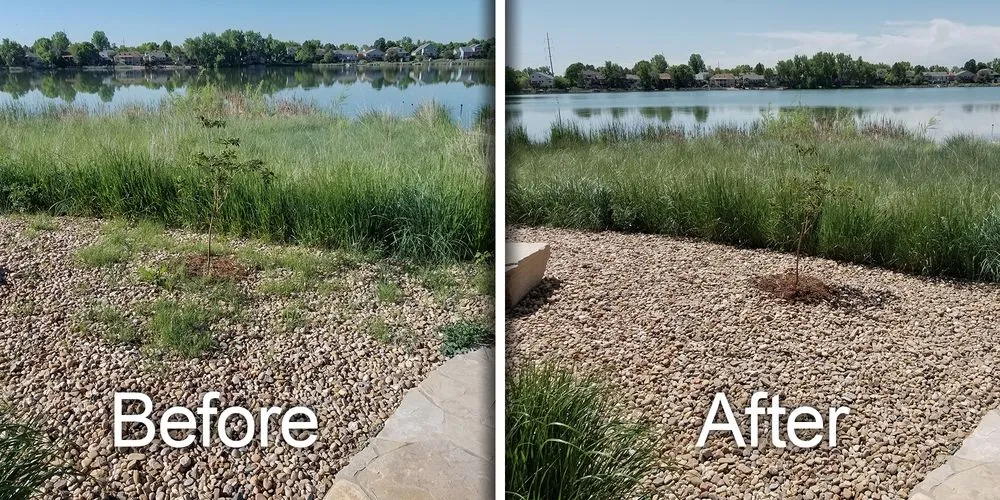 Expert yard maintenance in Fort Collins, CO - Hayven Scapes