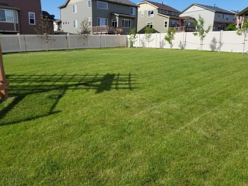 Expert landscape installation for residential properties in Fort Collins, CO by Hayven Scapes