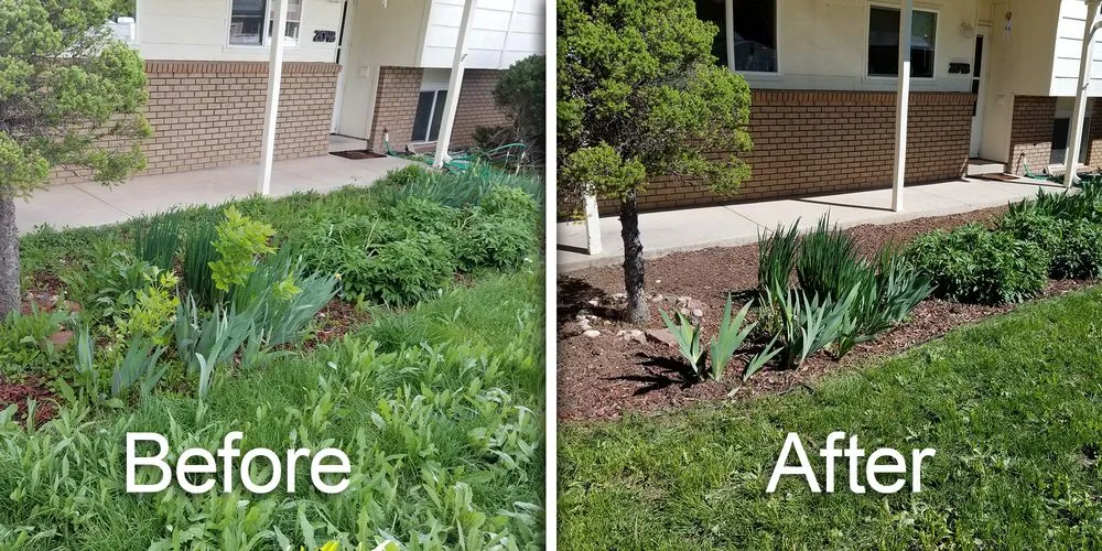 Affordable lawn mowing service in Fort Collins, CO - Hayven Scapes