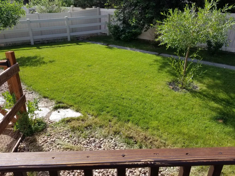 Professional yard maintenance in Fort Collins, CO by Hayven Scapes