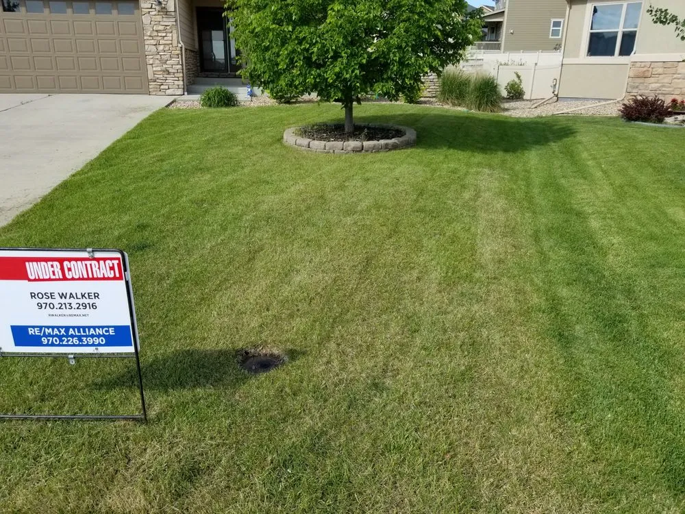 Top-rated residential landscaping in Fort Collins, CO - Hayven Scapes