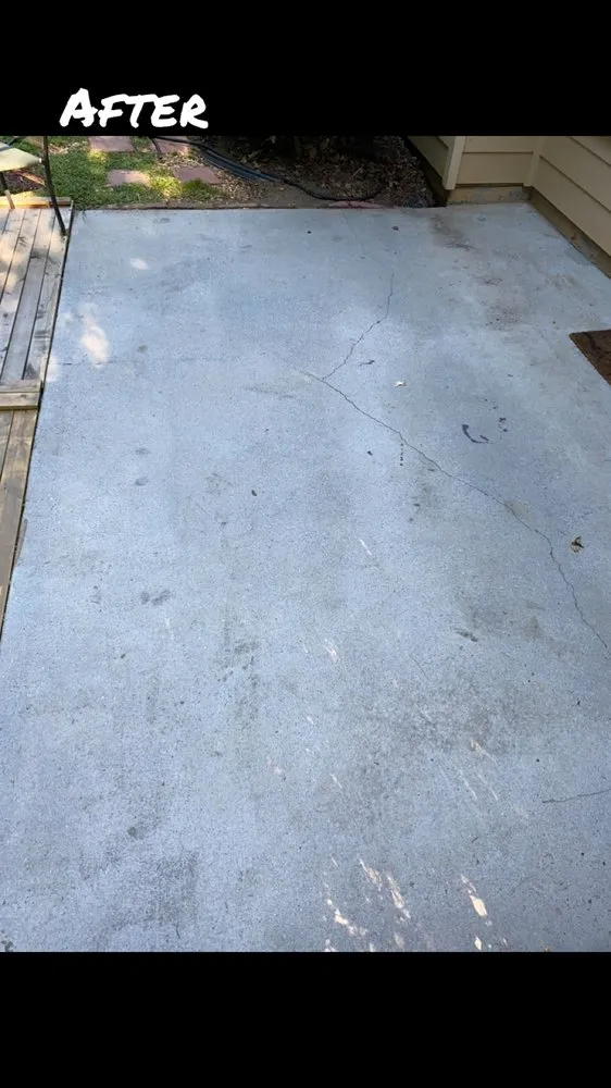 Top-rated yard cleanup service for year-round maintenance across Atlanta, GA - Haywood Restoration