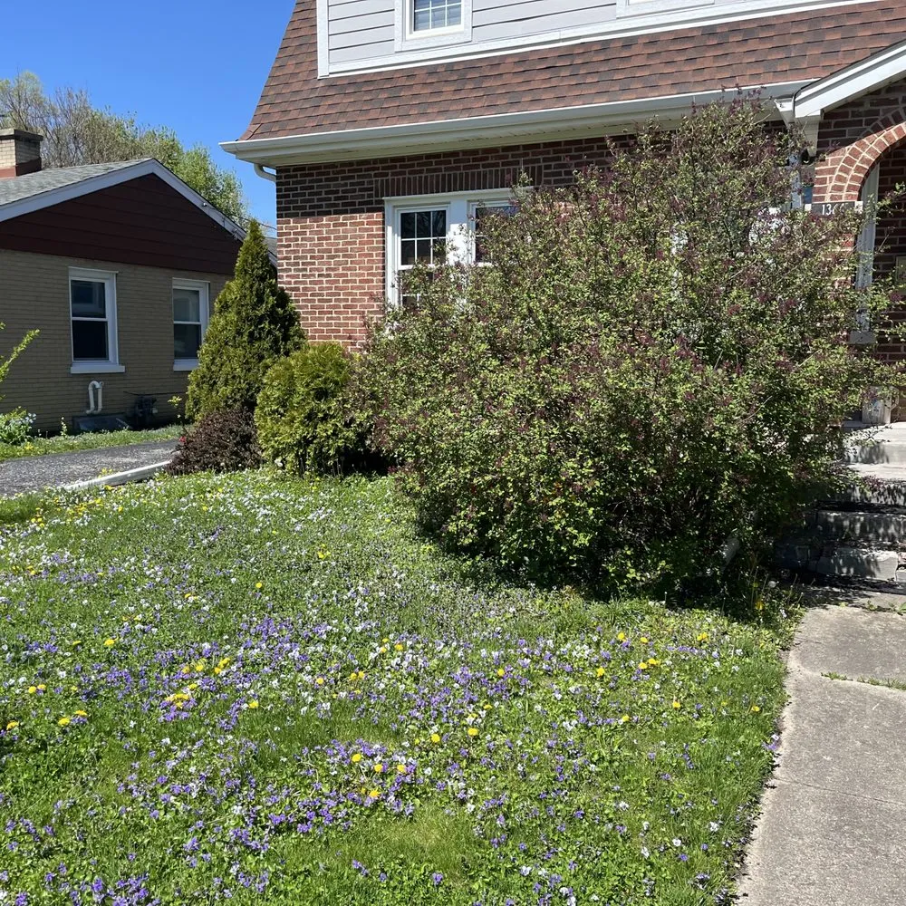 Reliable landscape design with custom design in Chicago, IL by Haze Maintenance And Landscaping