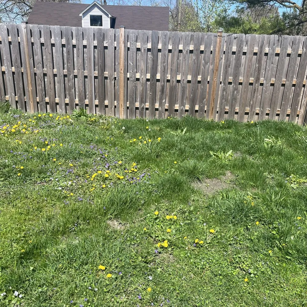 Trusted landscaping services in Chicago, IL by Haze Maintenance And Landscaping