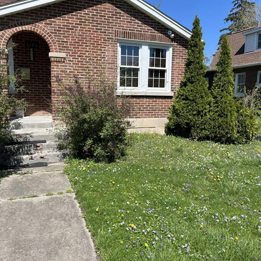 Reliable outdoor landscaping experts serving Chicago, IL - Haze Maintenance And Landscaping