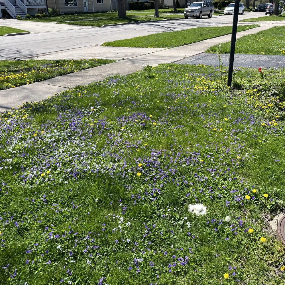 Local residential landscaping near you across Chicago, IL - Haze Maintenance And Landscaping