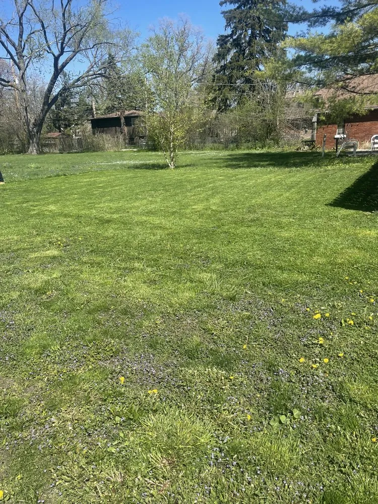 Professional residential landscaping in Chicago, IL by Haze Maintenance And Landscaping