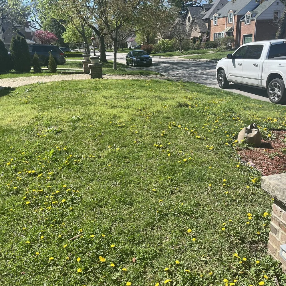 Professional lawn care service experts serving Chicago, IL - Haze Maintenance And Landscaping