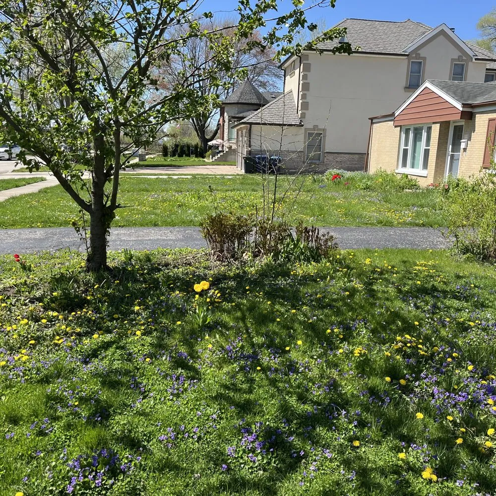 Reliable garden landscaping in Chicago, IL by Haze Maintenance And Landscaping