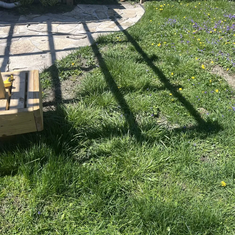 Expert landscape design in Chicago, IL - Haze Maintenance And Landscaping