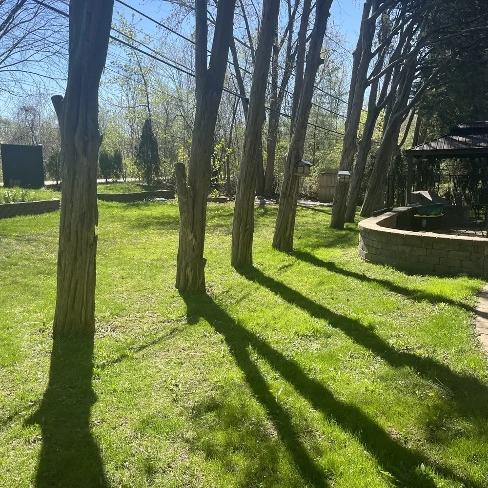 Trusted lawn mowing service with custom design across Chicago, IL - Haze Maintenance And Landscaping