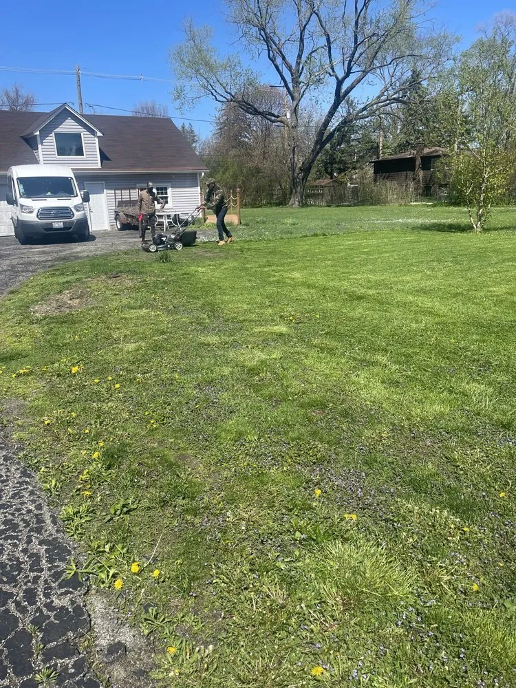 Local yard cleanup service near you in Chicago, IL by Haze Maintenance And Landscaping