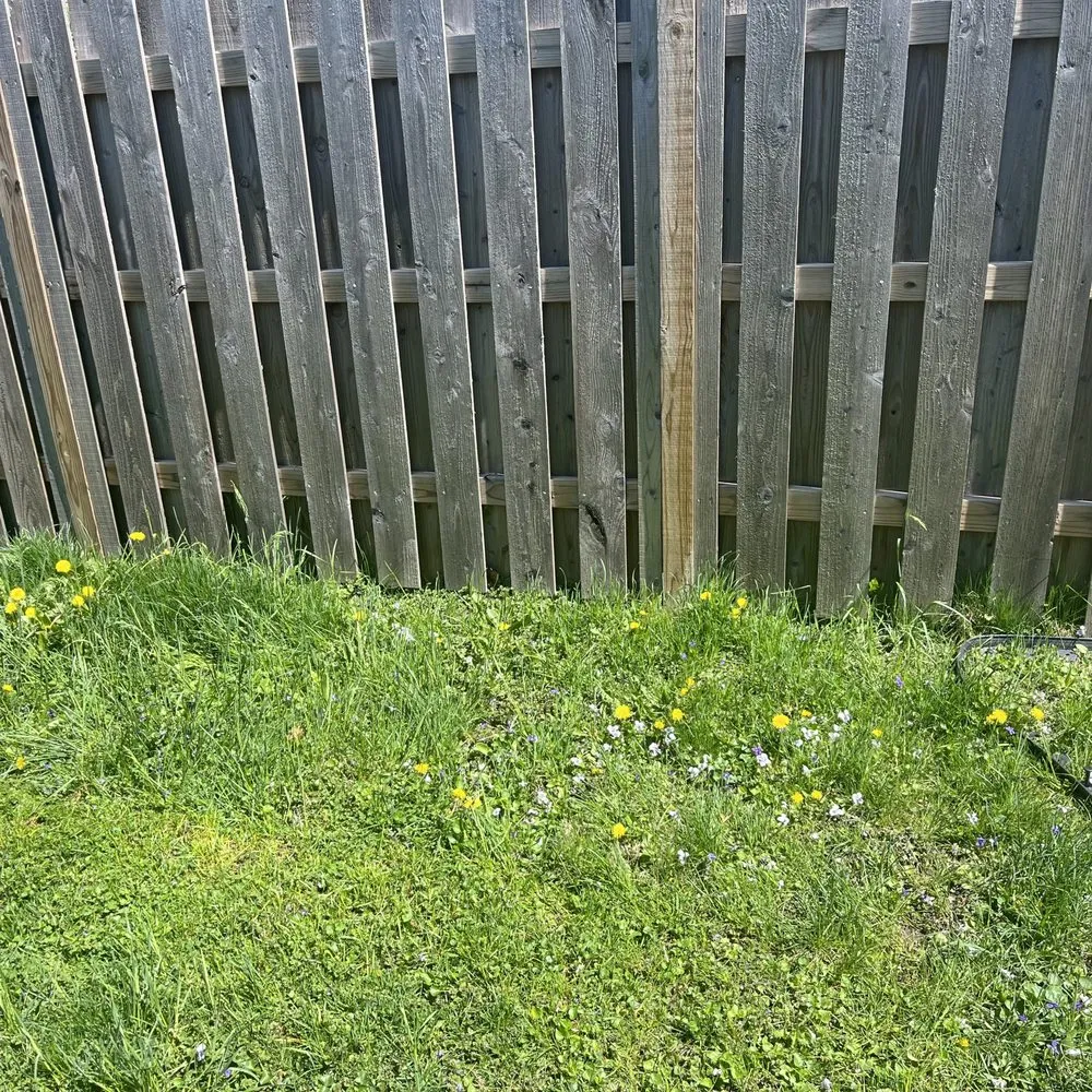 Expert yard maintenance experts serving Chicago, IL - Haze Maintenance And Landscaping