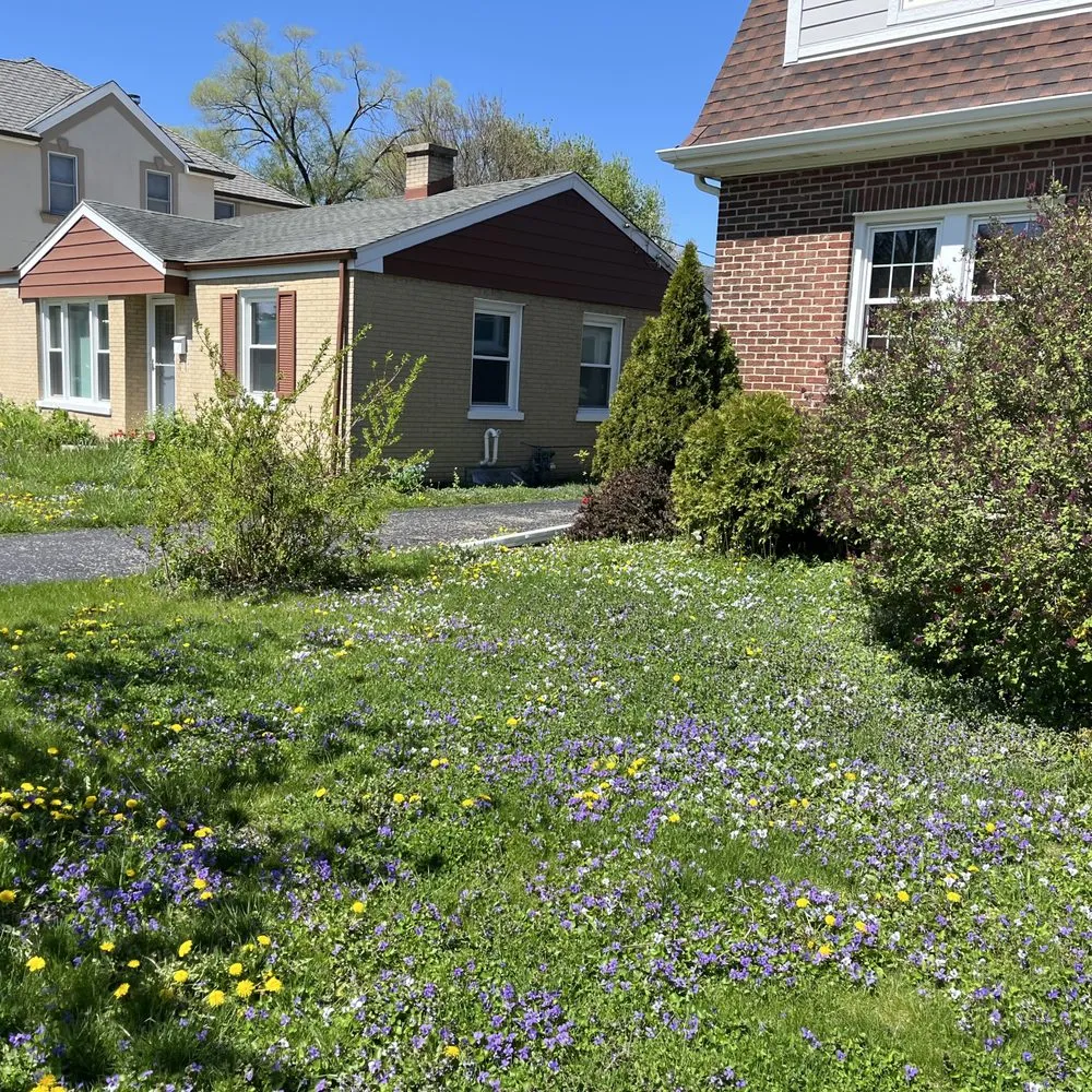 Top-rated landscape installation experts serving Chicago, IL - Haze Maintenance And Landscaping