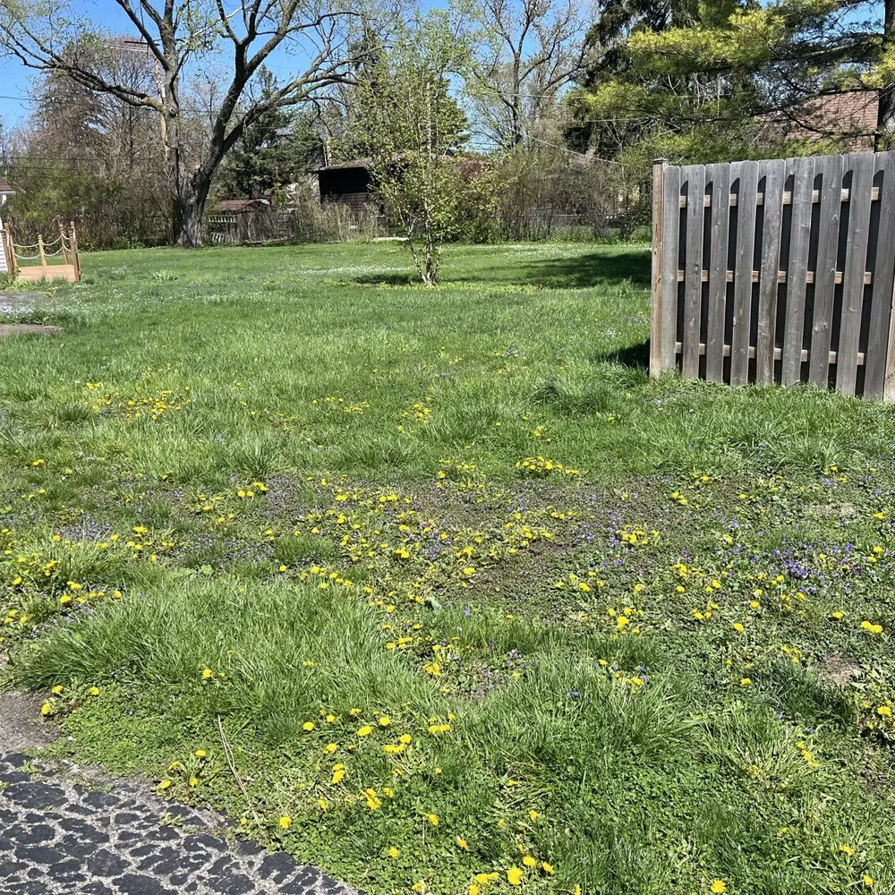 Affordable yard cleanup service for outdoor upgrades across Chicago, IL - Haze Maintenance And Landscaping