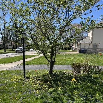 Haze Maintenance And Landscaping Logo