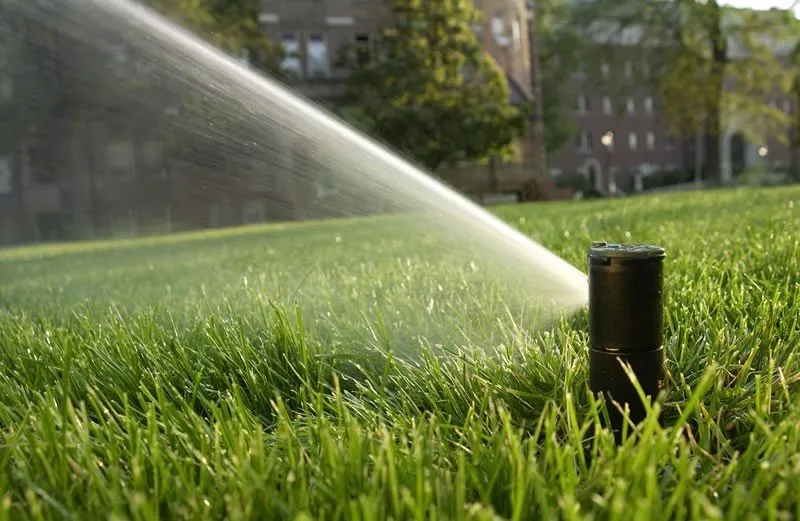 Affordable outdoor landscaping experts serving North Platte, NE - Hazen Sprinkler