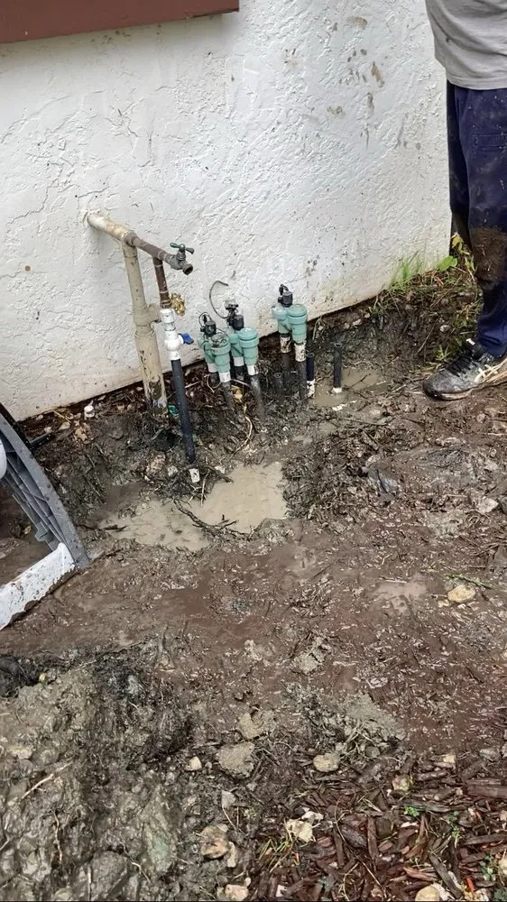 Professional lawn mowing service experts serving Carmichael, CA - Hazen Sprinkler Services