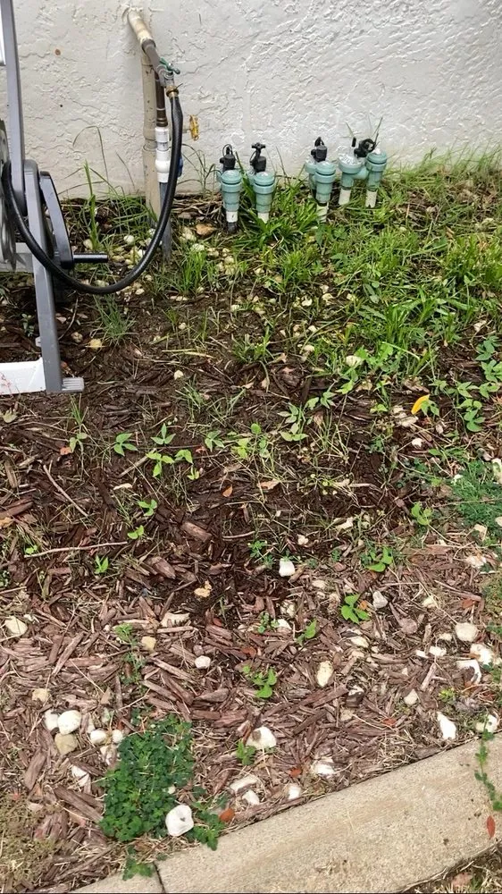 Local outdoor landscaping near you in Carmichael, CA by Hazen Sprinkler Services