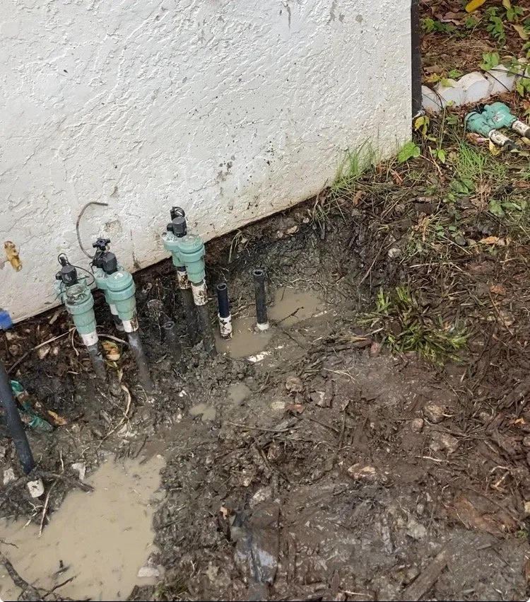 Top-rated lawn care service experts serving Carmichael, CA - Hazen Sprinkler Services