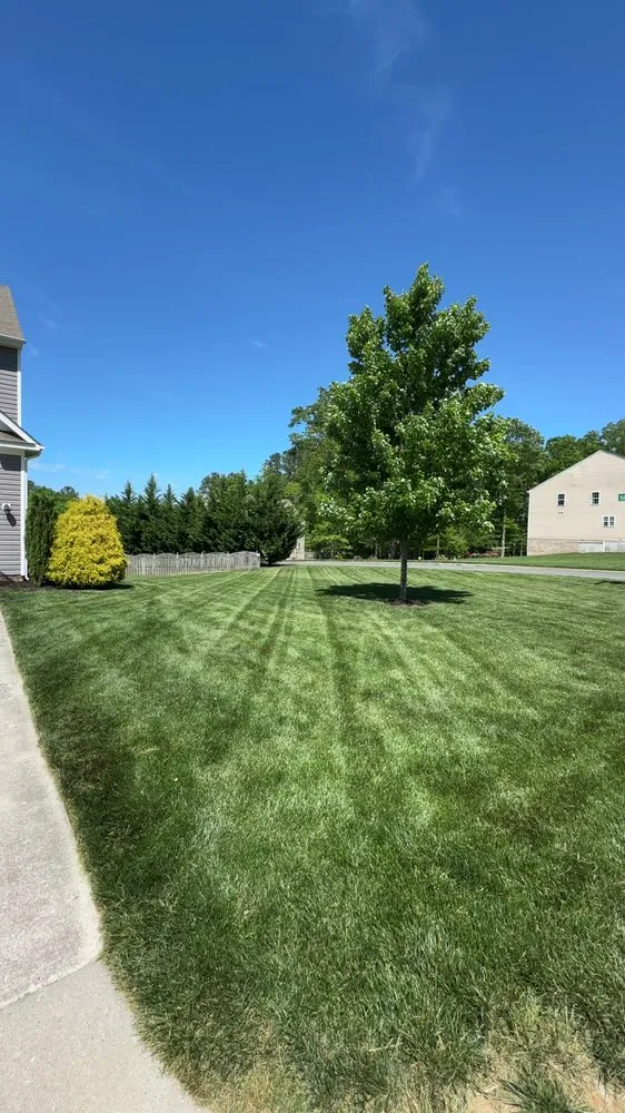 Local landscape design in Midlothian, VA by H&B Landscaping