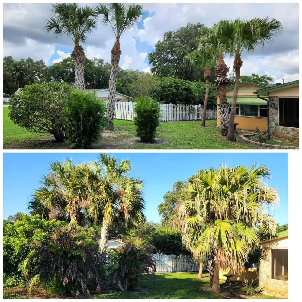 Local landscaping services for outdoor upgrades in Arcadia, FL by HB Lawn and Tree
