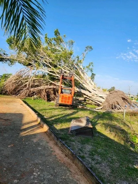 Top-rated landscaping services in Arcadia, FL - HB Lawn and Tree
