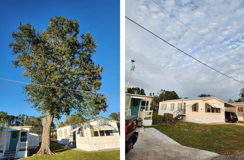 Trusted landscape design experts serving Arcadia, FL - HB Lawn and Tree