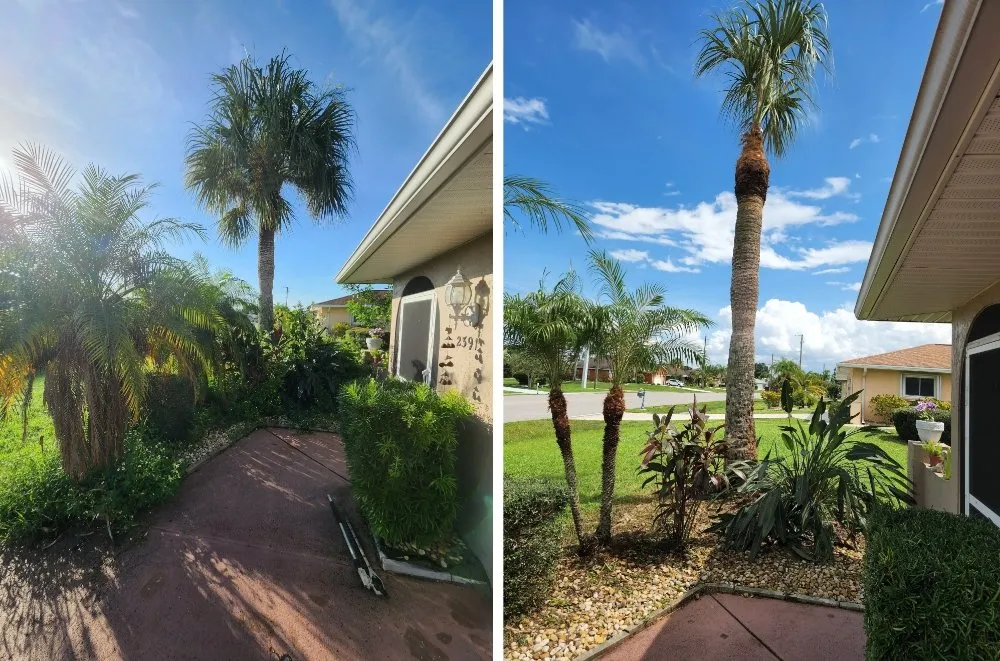 Reliable outdoor landscaping in Arcadia, FL by HB Lawn and Tree