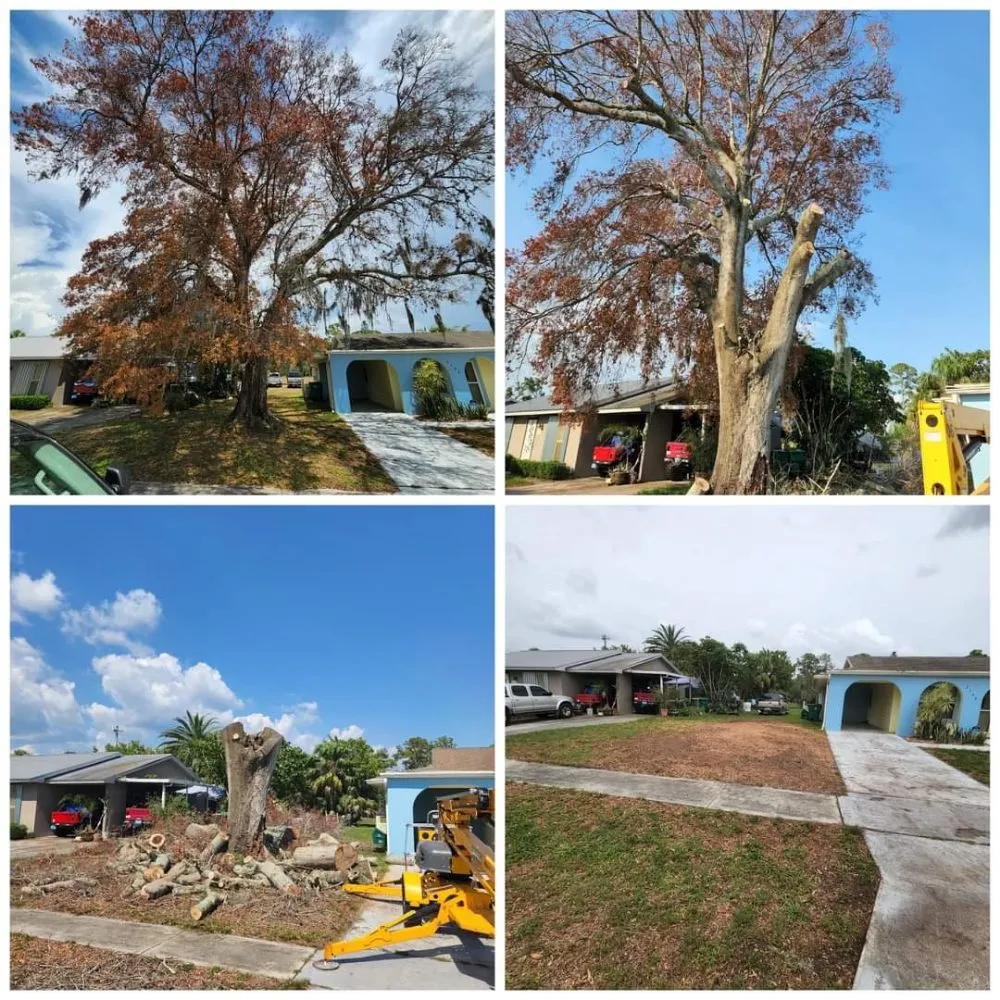 Custom landscape installation for year-round maintenance across Arcadia, FL - HB Lawn and Tree