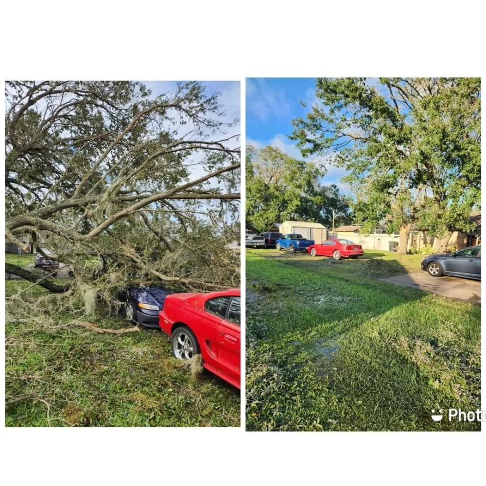 Expert yard cleanup service in Arcadia, FL by HB Lawn and Tree