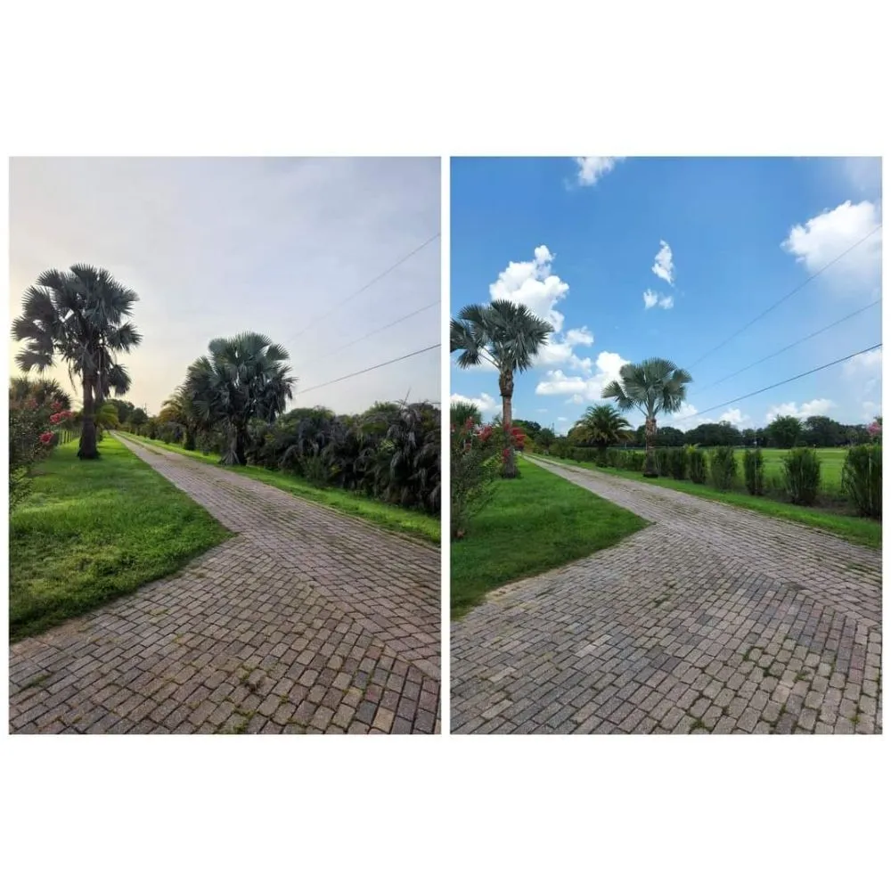 Trusted landscaping services in Arcadia, FL by HB Lawn and Tree