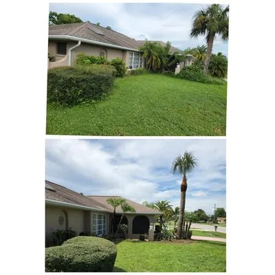 HB Lawn and Tree Logo