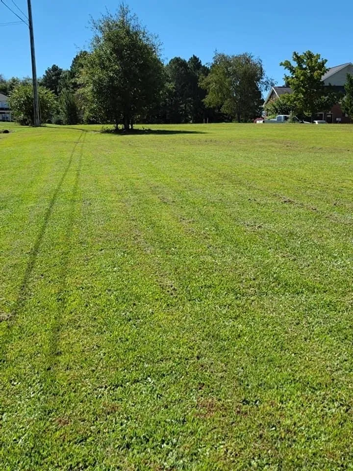 Trusted landscaping services experts serving Chattanooga, TN - HB Lawncare