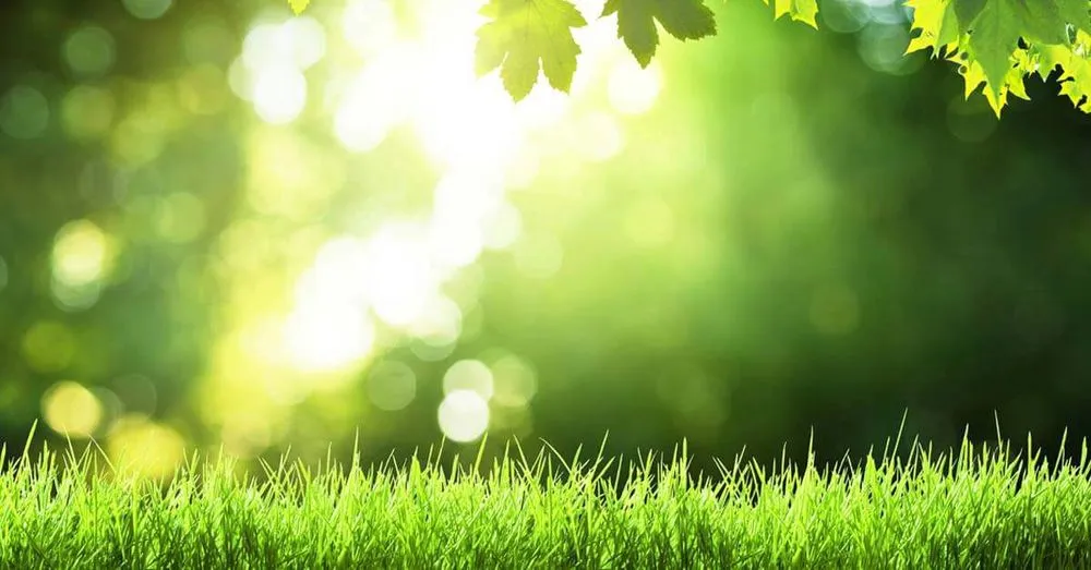 Affordable landscaping services in Lavaca, AR - HB Lawncare