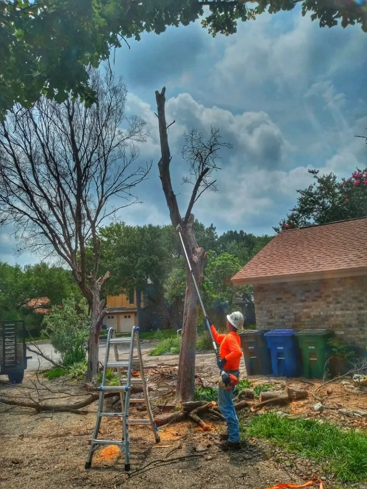 Local yard cleanup service in San Antonio, TX - HB Quality Irrigation