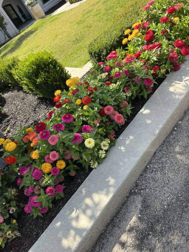 Reliable outdoor landscaping in San Antonio, TX by HB Quality Irrigation