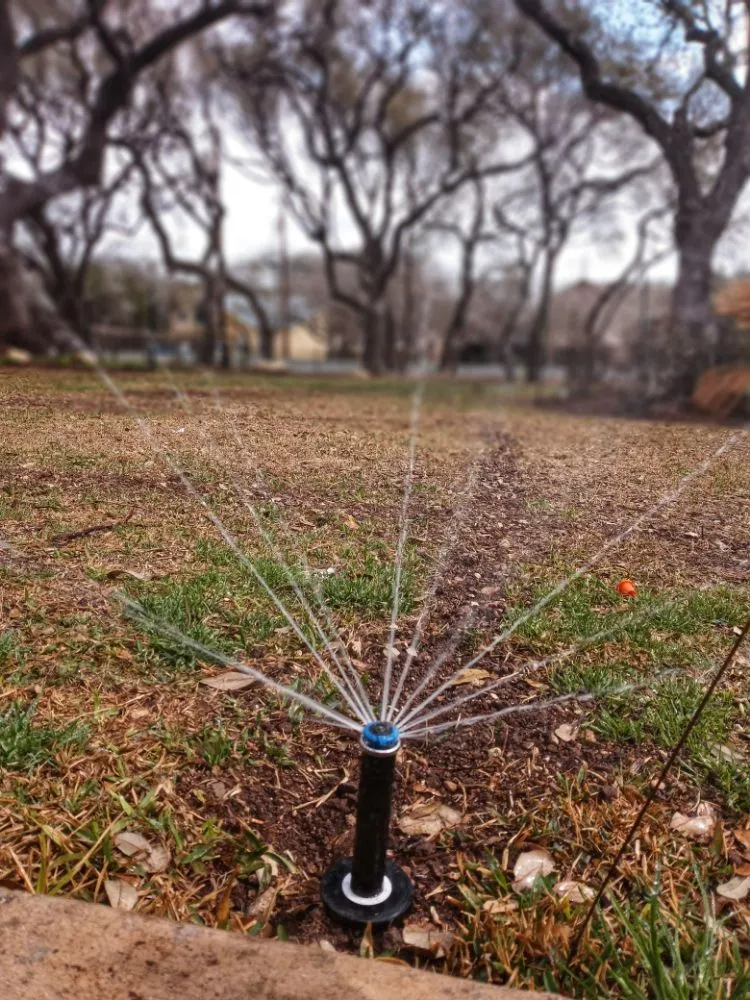 Top-rated landscaping services in San Antonio, TX by HB Quality Irrigation