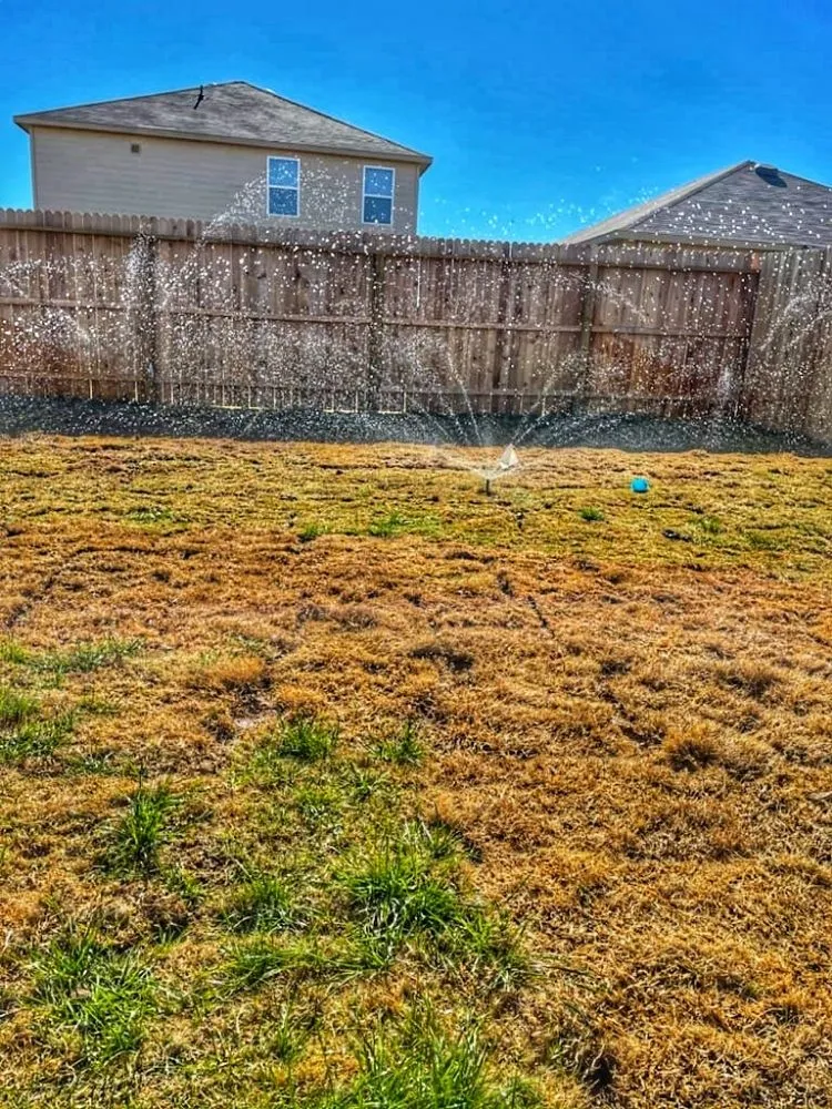 Professional landscape installation for homes in San Antonio, TX by HB Quality Irrigation