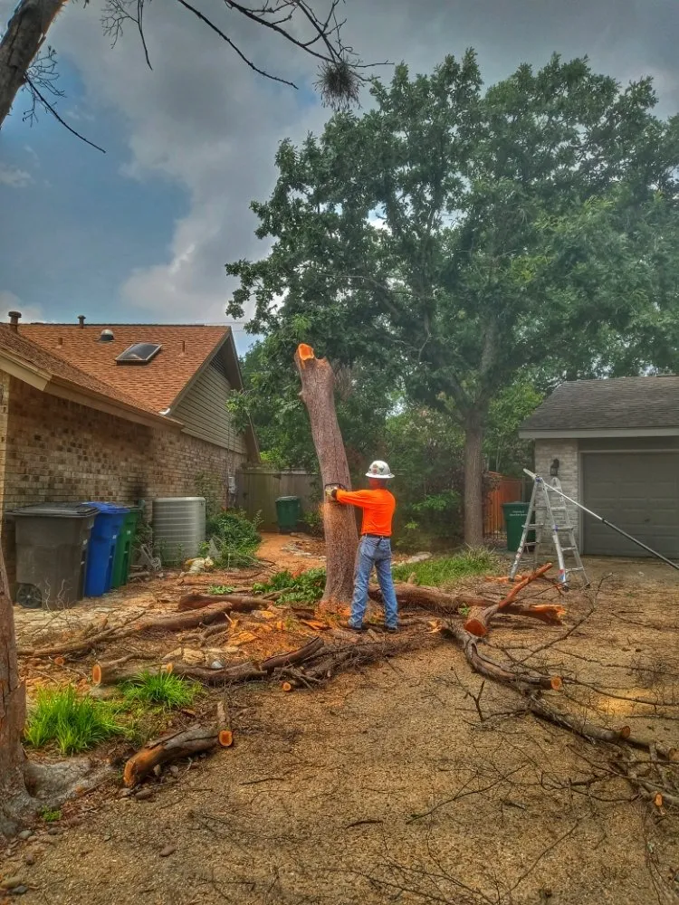 Expert lawn care service in San Antonio, TX by HB Quality Irrigation