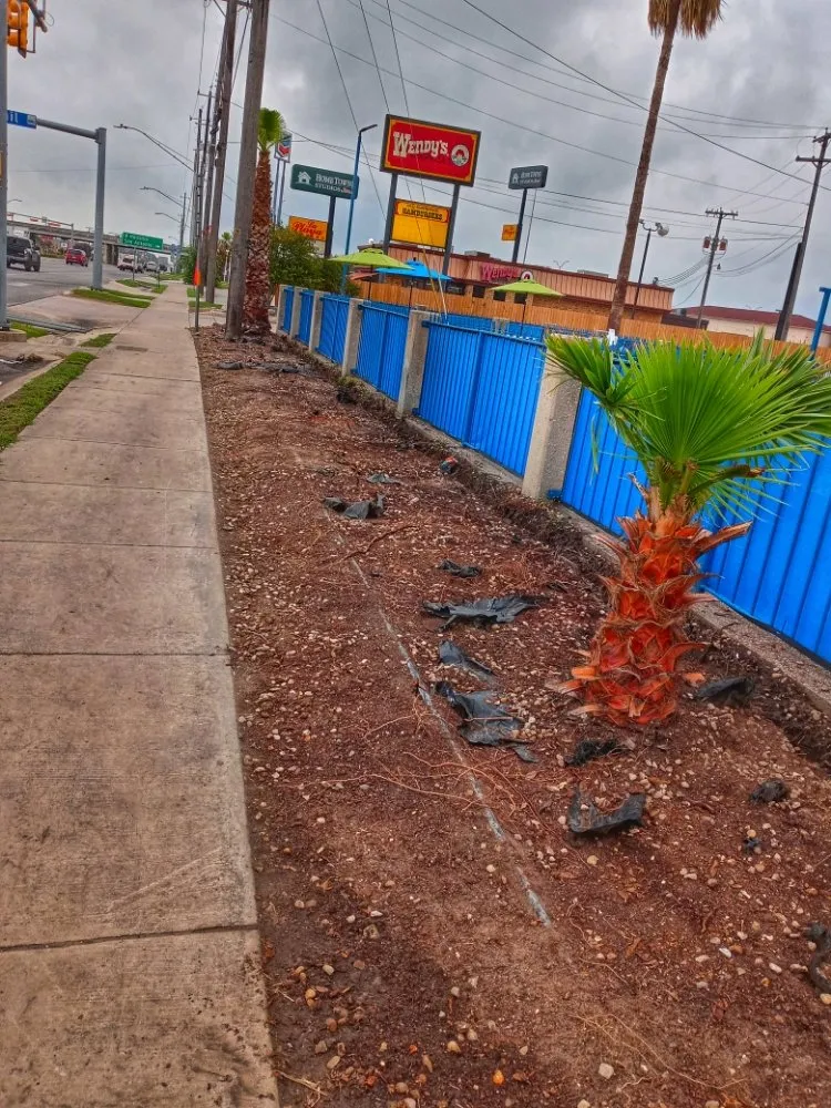 Trusted landscaping services in San Antonio, TX by HB Quality Irrigation