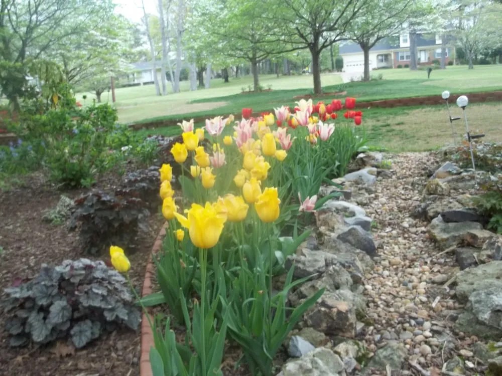 Top-rated landscaping services in Huntsville, AL - HBA Landscaping