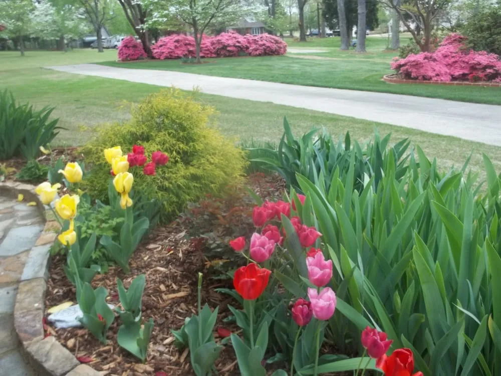 Expert garden landscaping near you in Huntsville, AL by HBA Landscaping