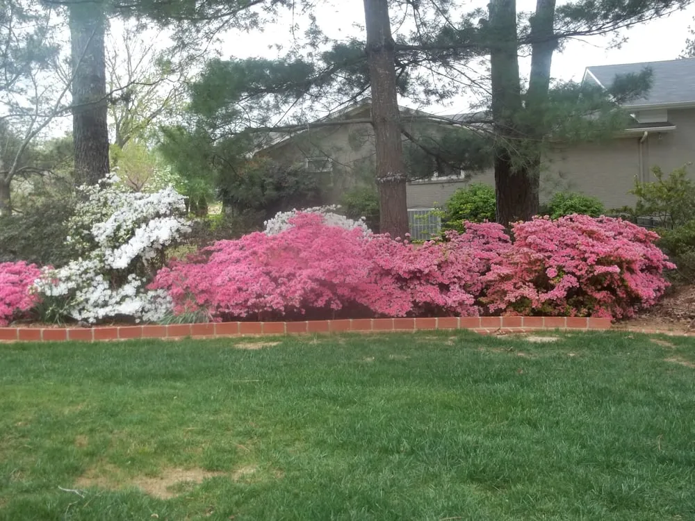 Professional landscape installation experts serving Huntsville, AL - HBA Landscaping