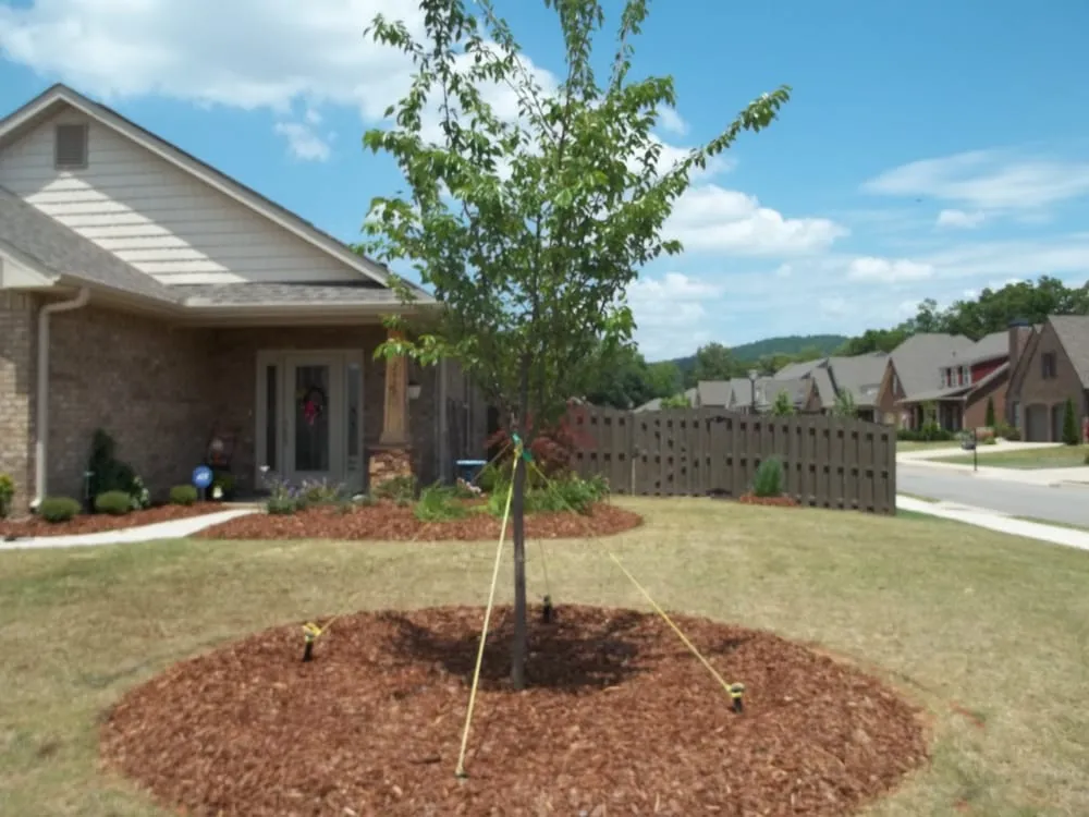 Reliable lawn care service for residential properties in Huntsville, AL by HBA Landscaping
