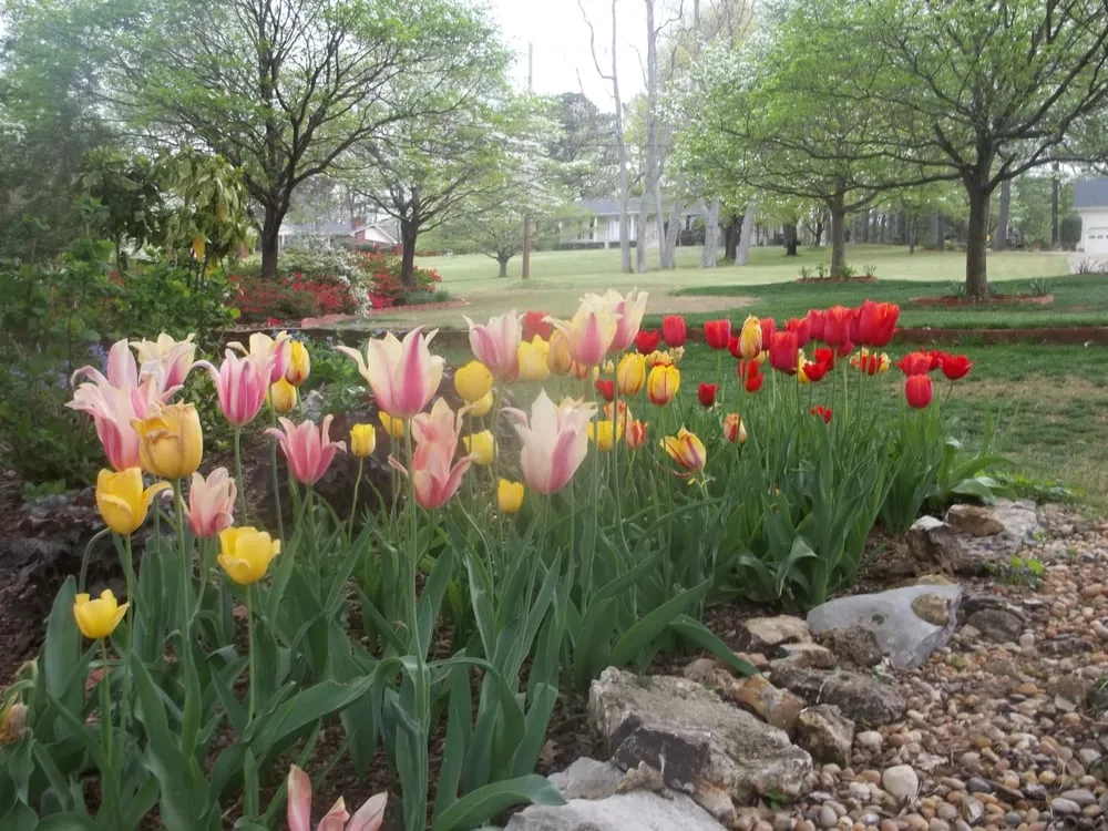 Top-rated landscaping services in Huntsville, AL - HBA Landscaping