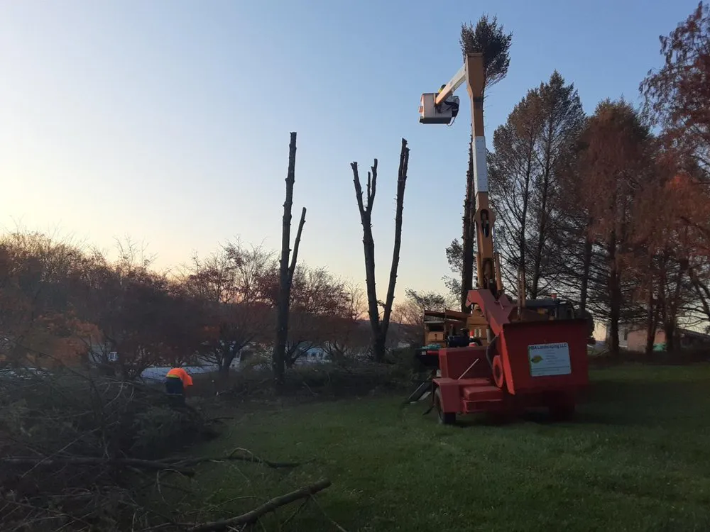 Local garden landscaping for outdoor upgrades across Lancaster, PA - HBA Landscaping